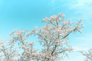 因爱而行