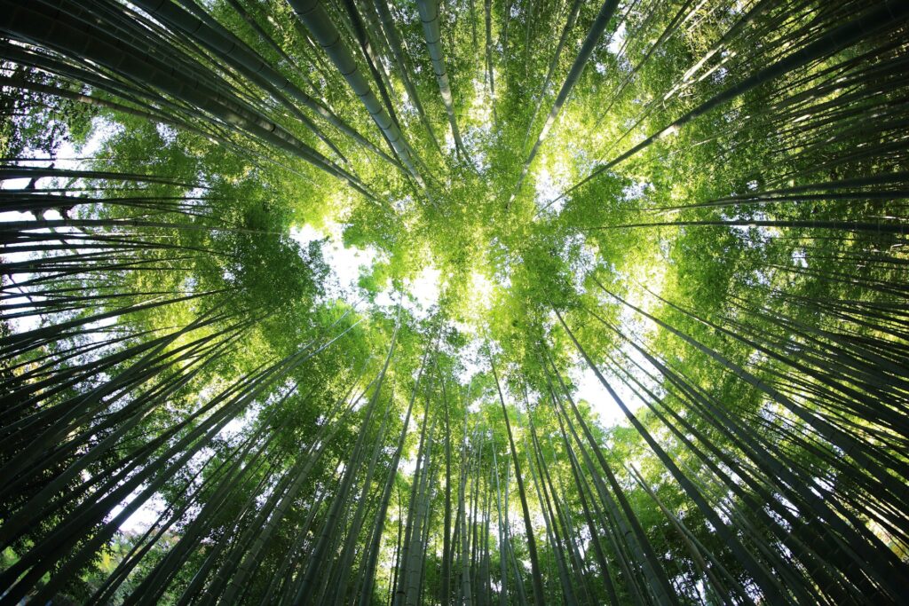 满足真实的渴望