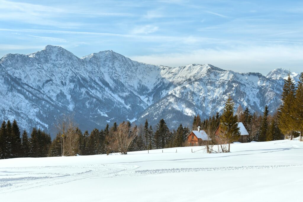 谦卑服侍彰显真权柄