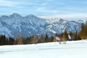 谦卑服侍彰显真权柄