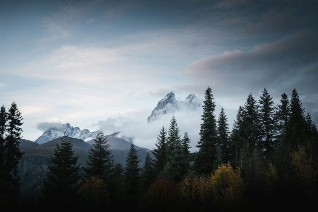 善用钱财，荣神益人