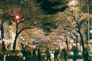 舍己之爱，触动人心