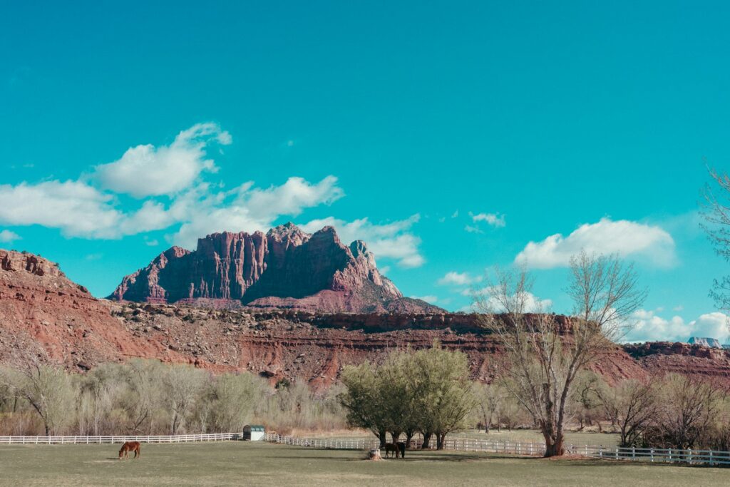 忧郁中仰望的心