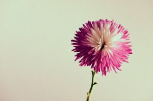 在失望中仍选择爱