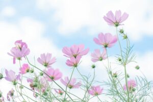 在管教中看见慈爱