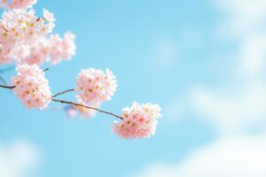 无人能夺去与主同在的喜乐