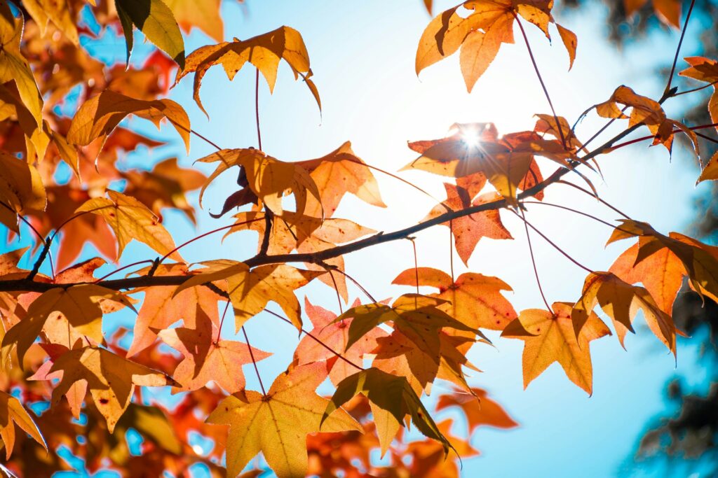 顽梗之心的危险