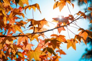 顽梗之心的危险