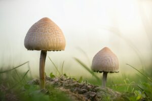 在应许中坚定信心