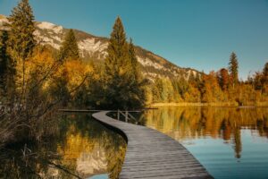 当祷告未得所求时